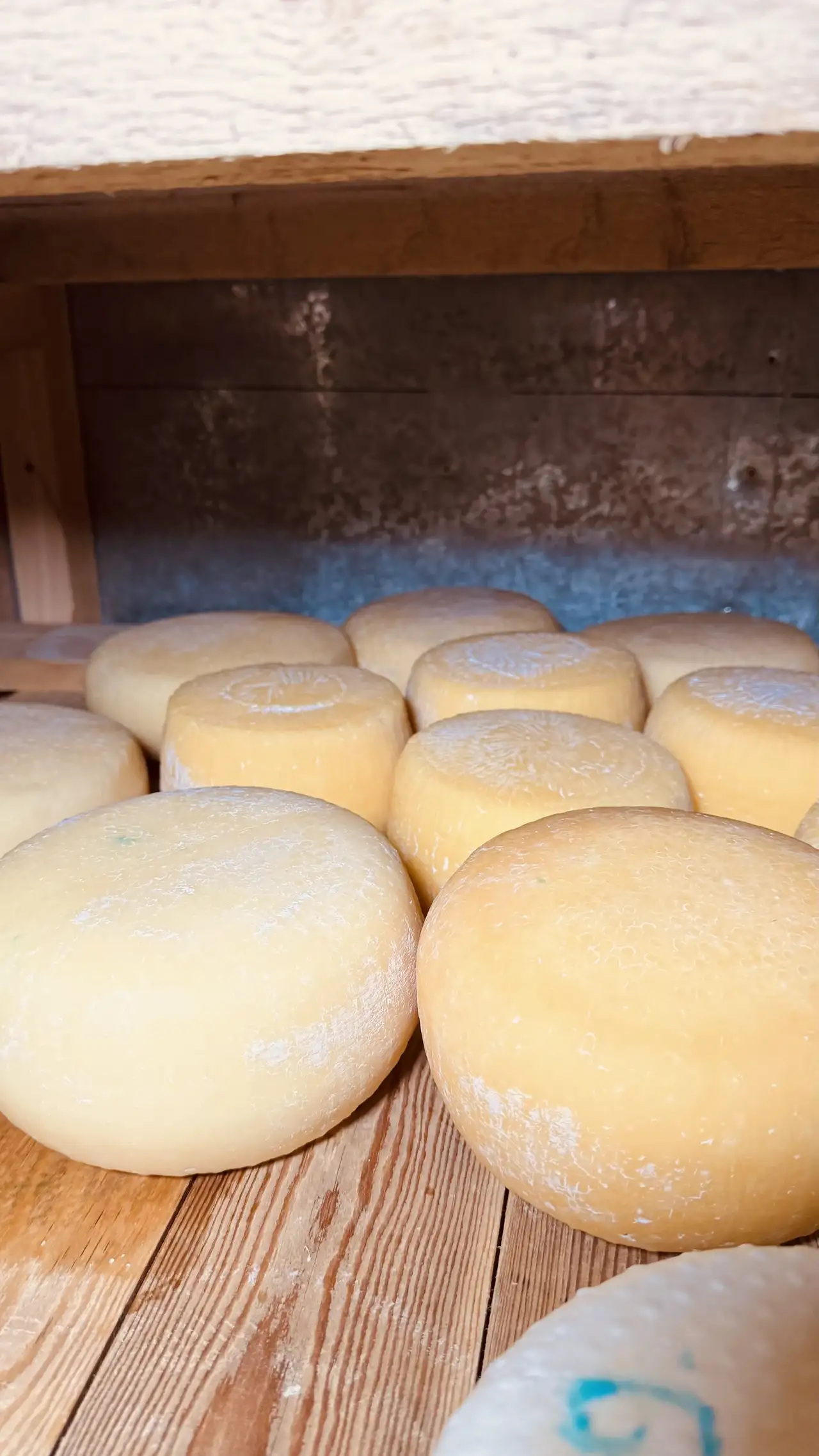 Процесс варки сыра